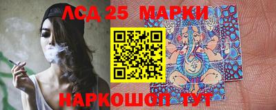 индика Аргун