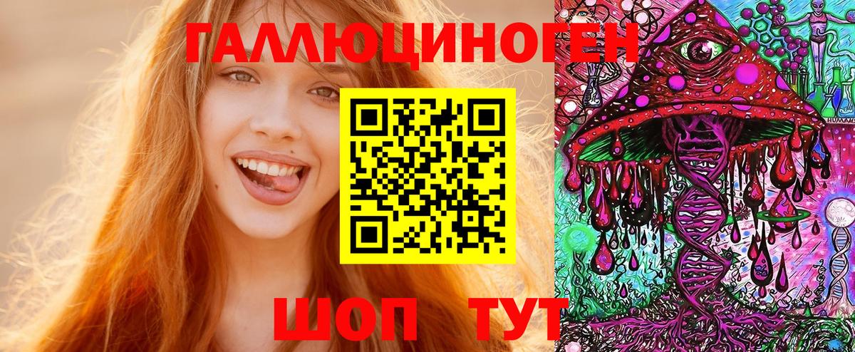 Бор  Галлюциногенные грибы Psilocybine cubensis  Псилоцибиновые грибы GOLDEN TEACHER  Вход с VPN 